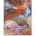 Notatnik Peter Pauper Press B5/96/120g linia Duch Lotu